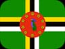 DM flag