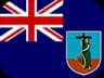 MS flag