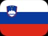 Bandera de SI
