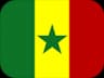 Bandeira de SN