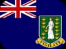 VG flag