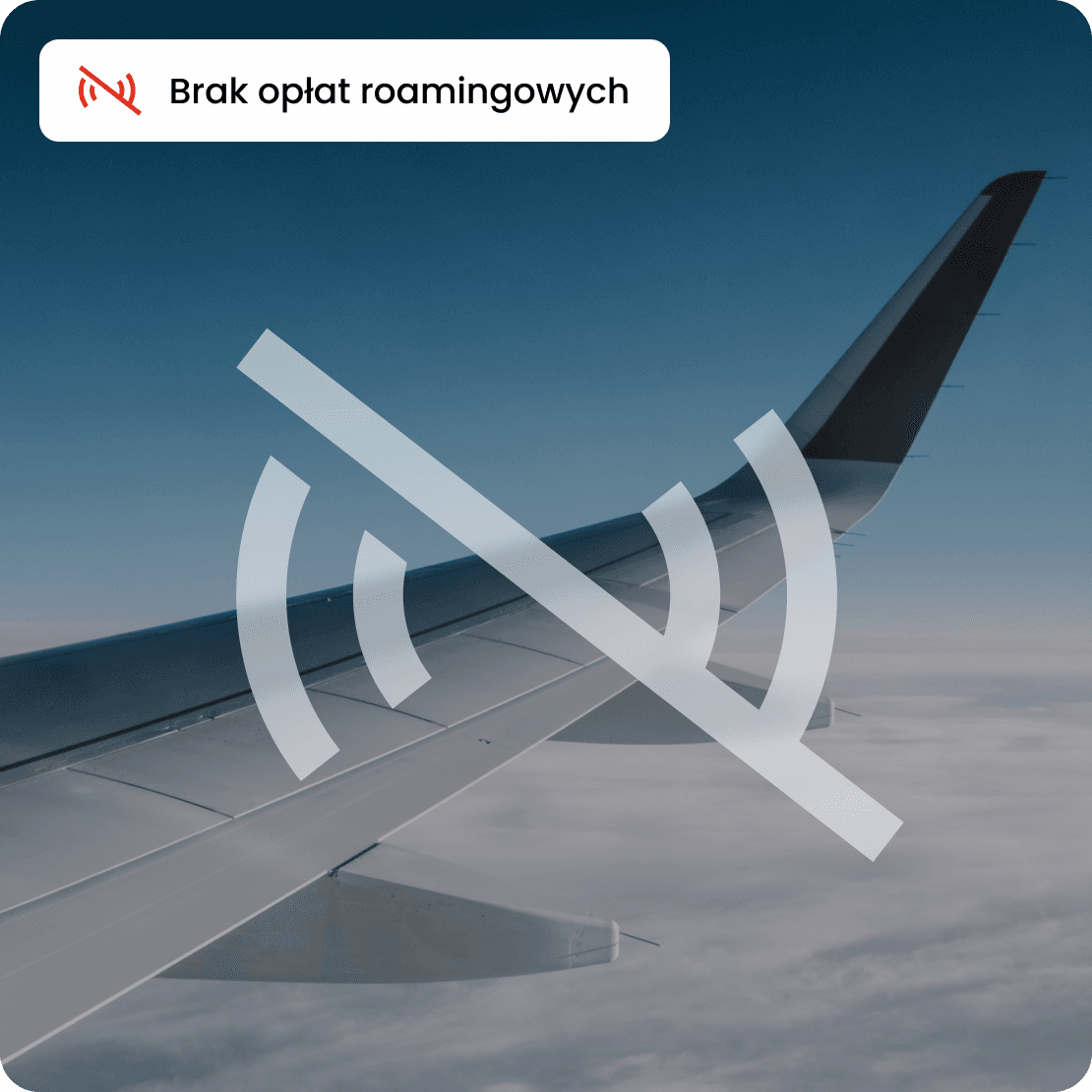 saily business no roaming fees pl