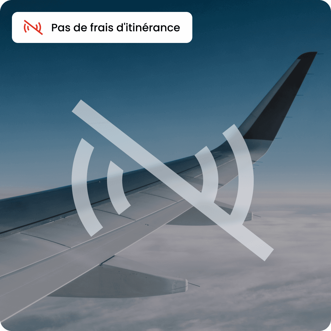 saily business no roaming fees fr