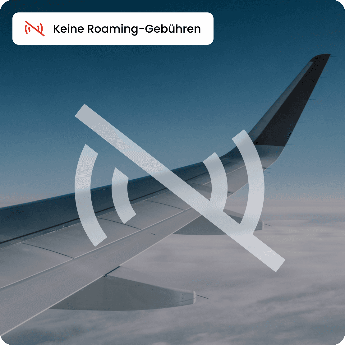 saily business no roaming fees de