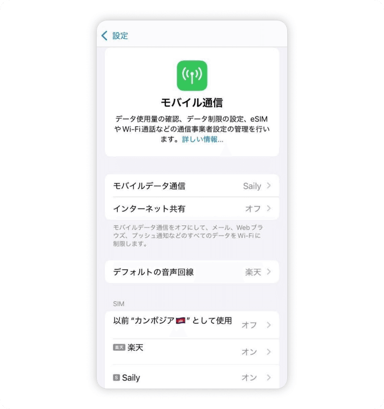 iPhoneでモバイルデータの使用状況を確認し、オン/オフにする方法、手順1