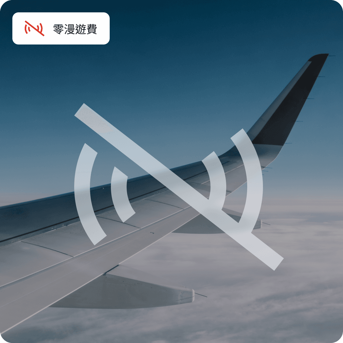 saily business no roaming fees zh tw