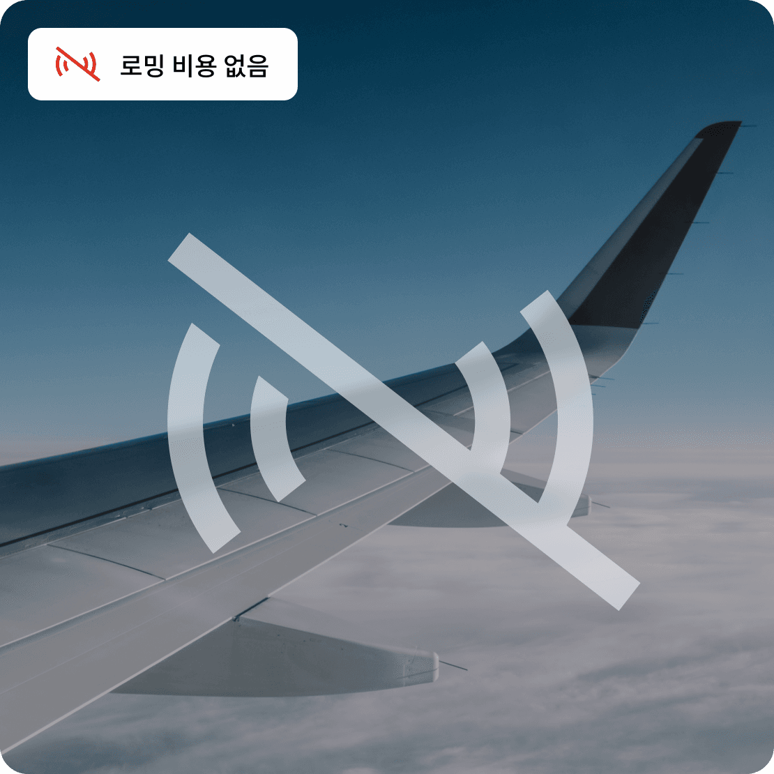 saily business no roaming fees ko