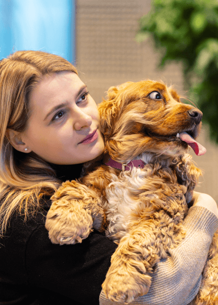 Un miembro del equipo de Saily abrazando a un perro en la oficina.
