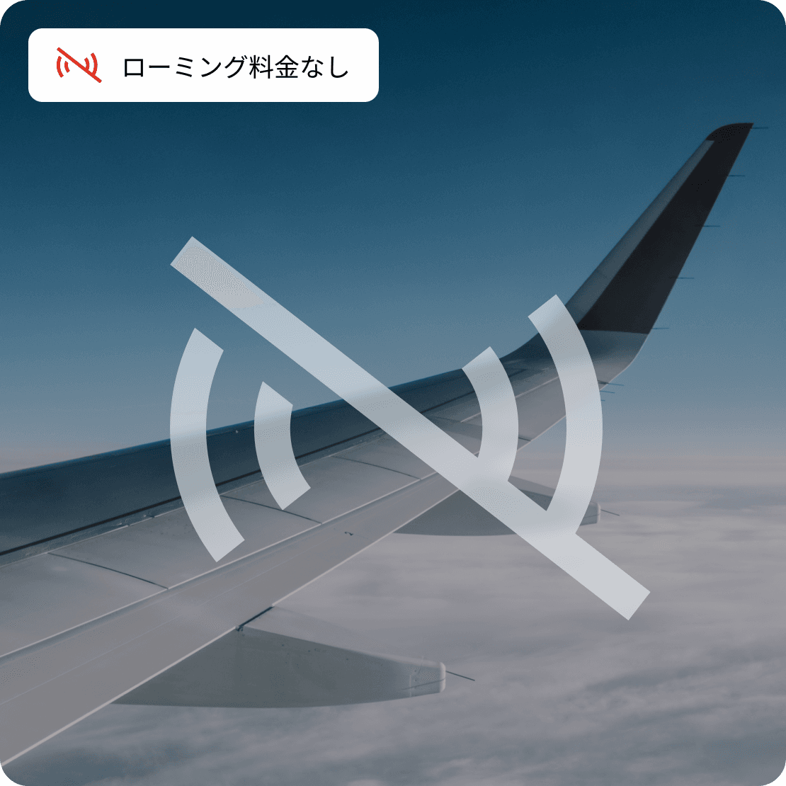 saily business no roaming fees ja