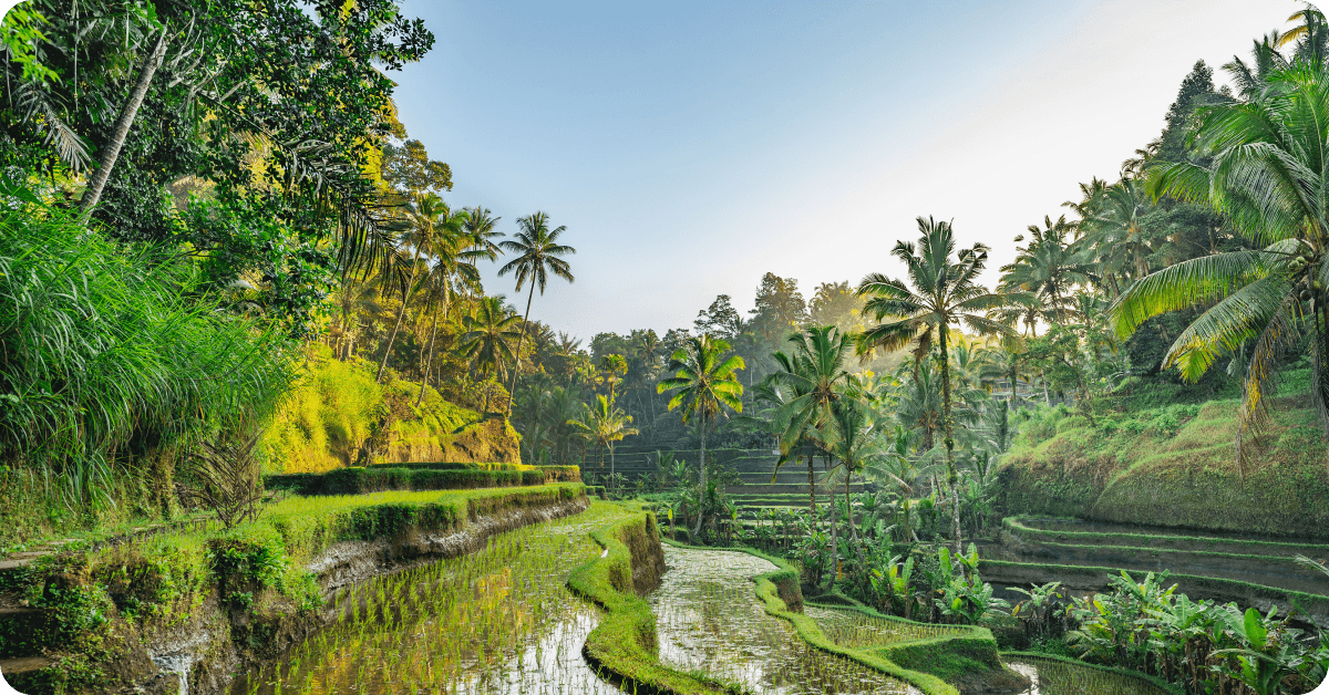 Bali (Ubud and Canggu), Indonesia