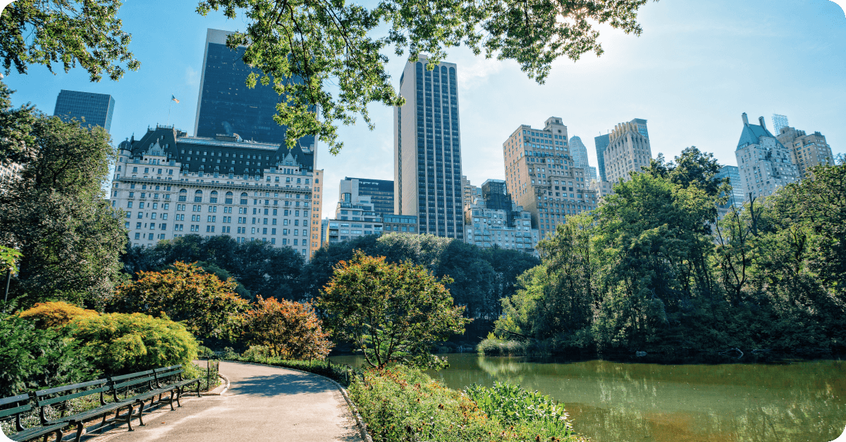 Central Park in New York