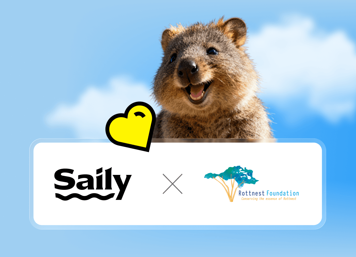 saily non profit asset 584x421