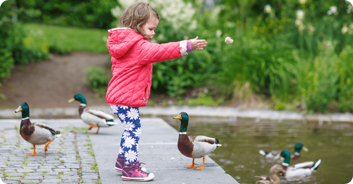 Niños alimentando a patos en un parque.