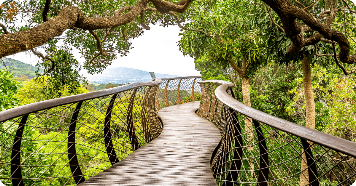 Cape Town, South Africa: Kirstenbosch Botanical Garden