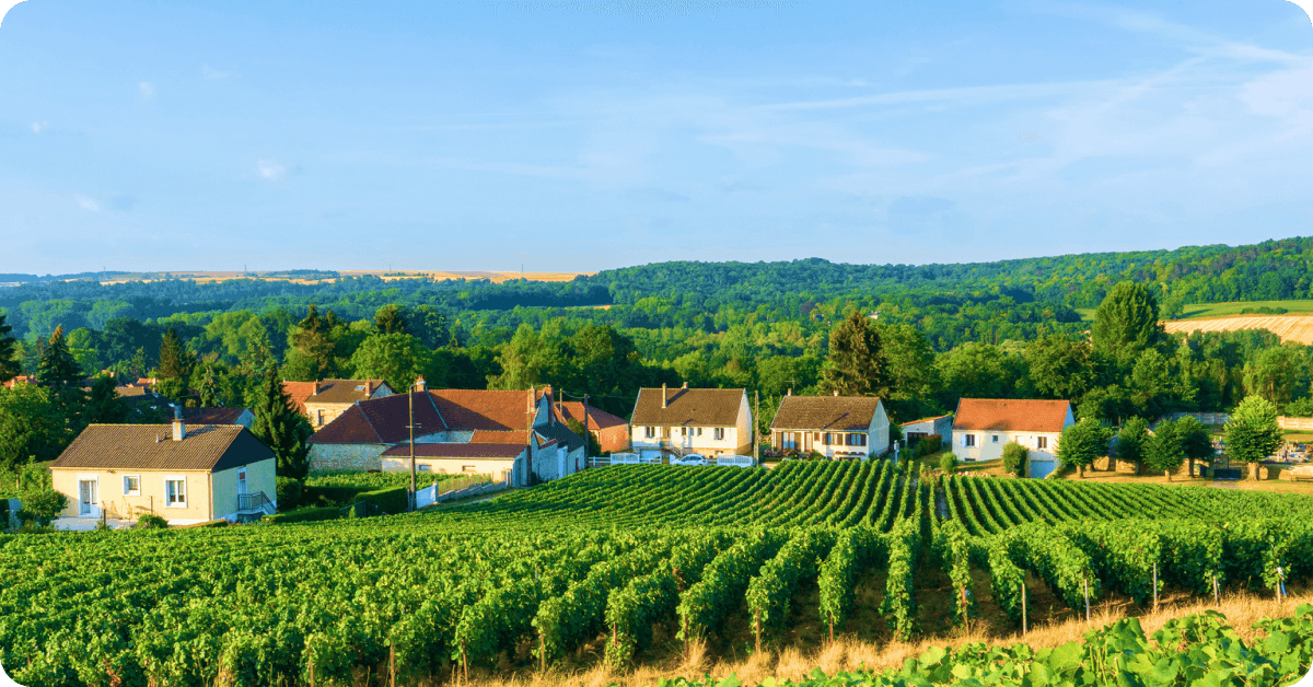 How to make money while traveling by region