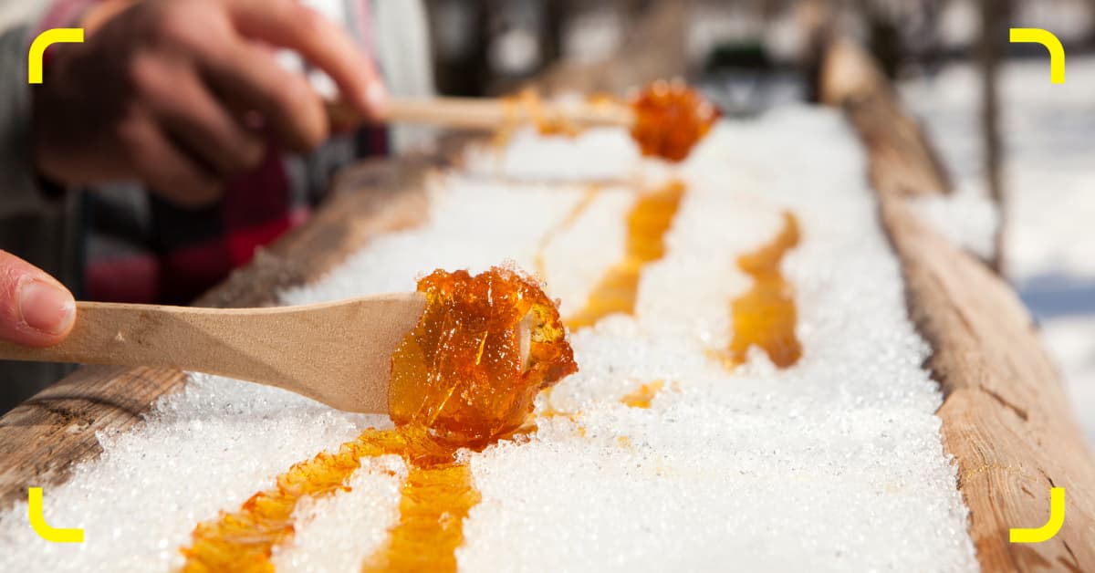 saily blog social food in canada 1200x628 2
