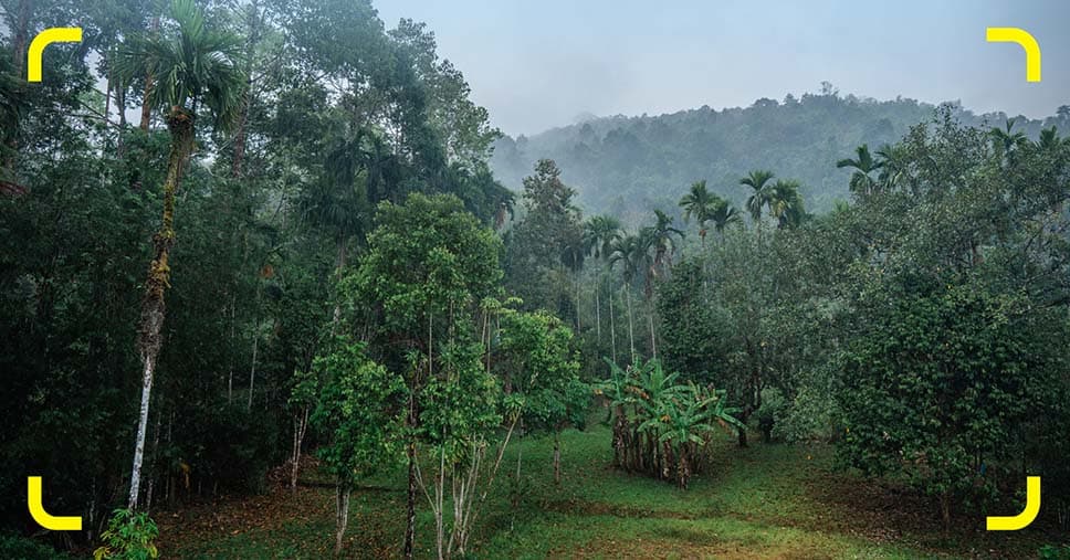 Regenzeit in Thailand: Klima, Regionen und beste Reisezeit