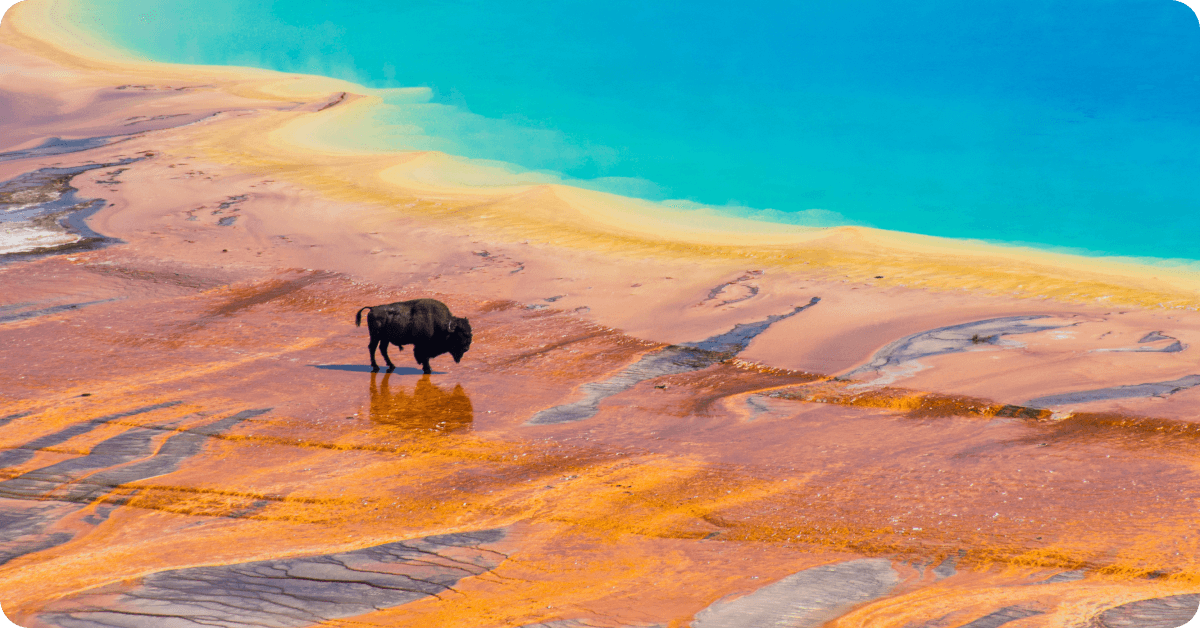 Yellowstone National Park