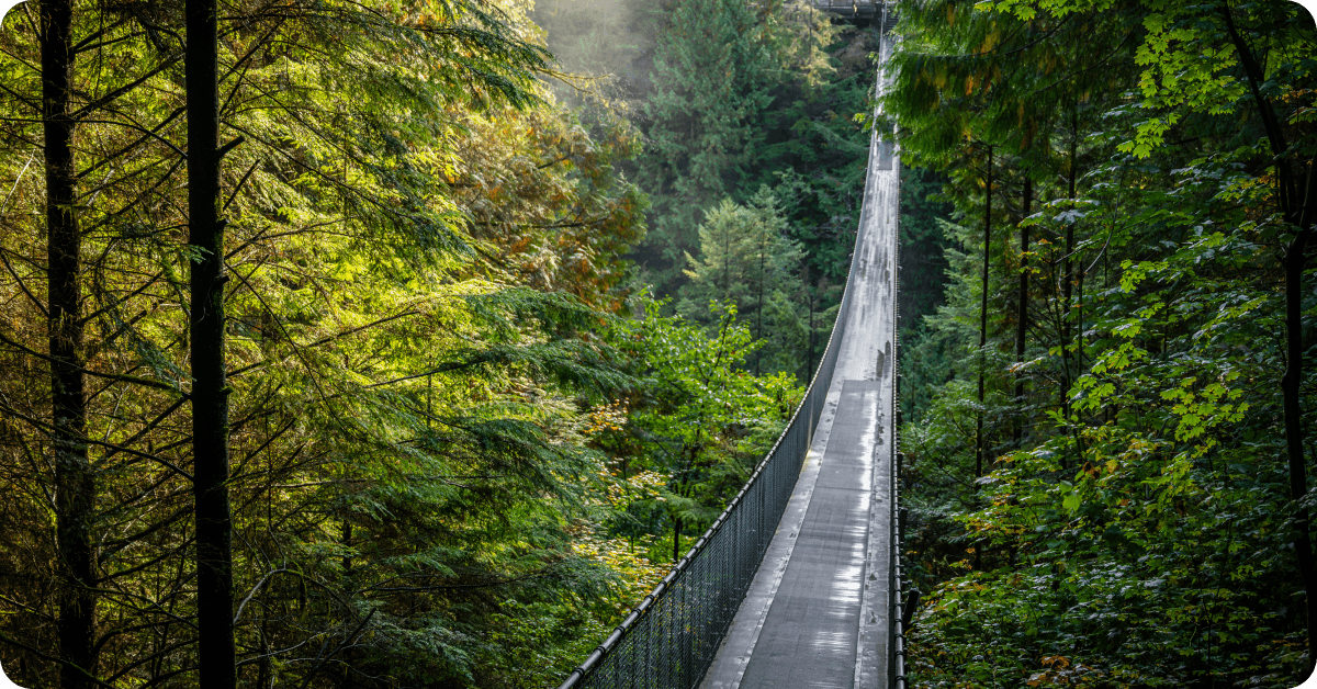 Capilano Suspension Bridge