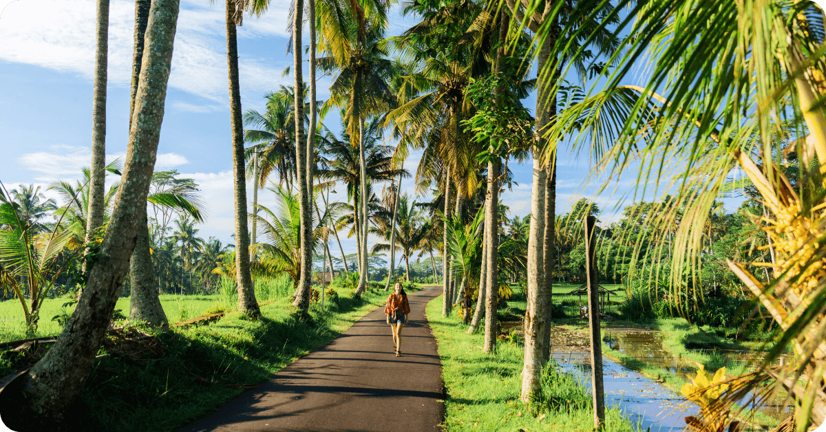 Bali travel guide 2026: Canggu