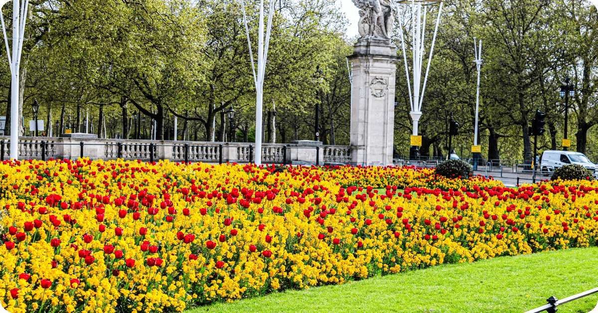 Flores de primavera en St James's Park.