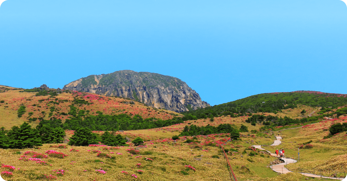 濟州島的風景