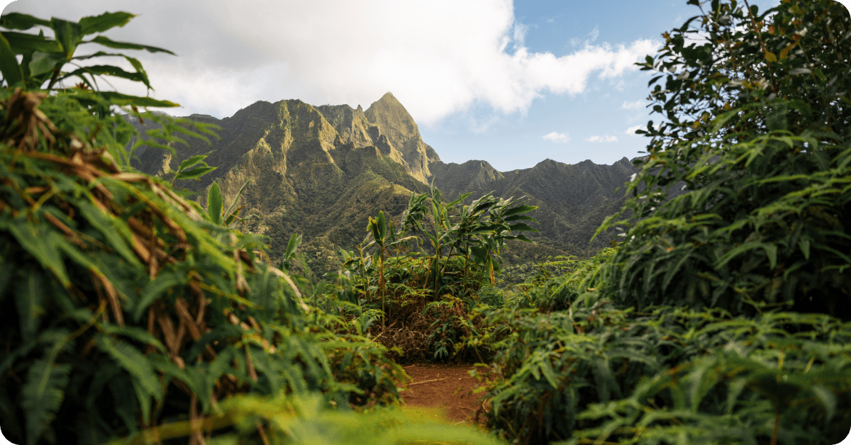 Hawaii