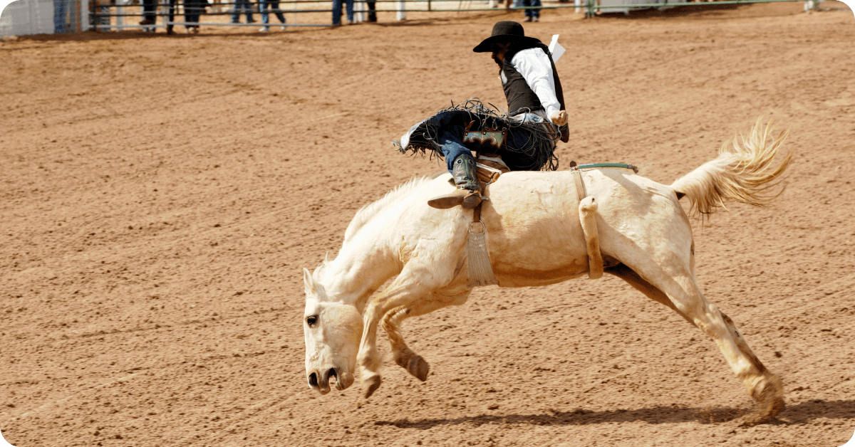Houston Livestock Show and Rodeo