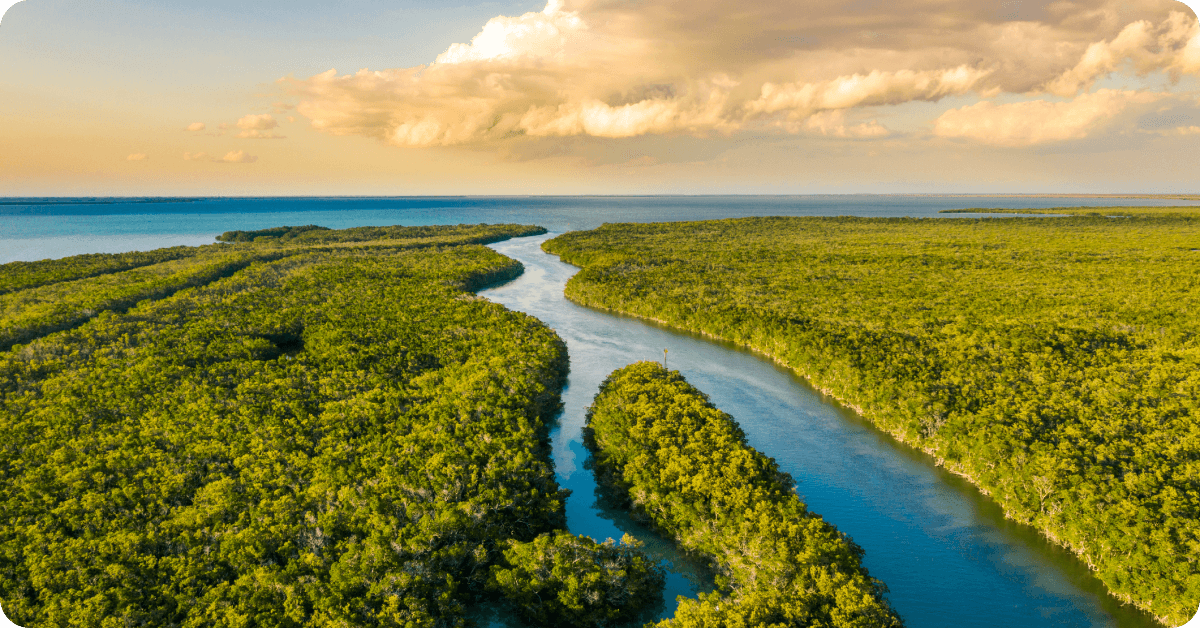 Everglades