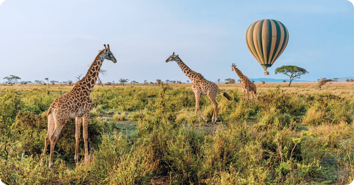 Serengeti, Tanzania