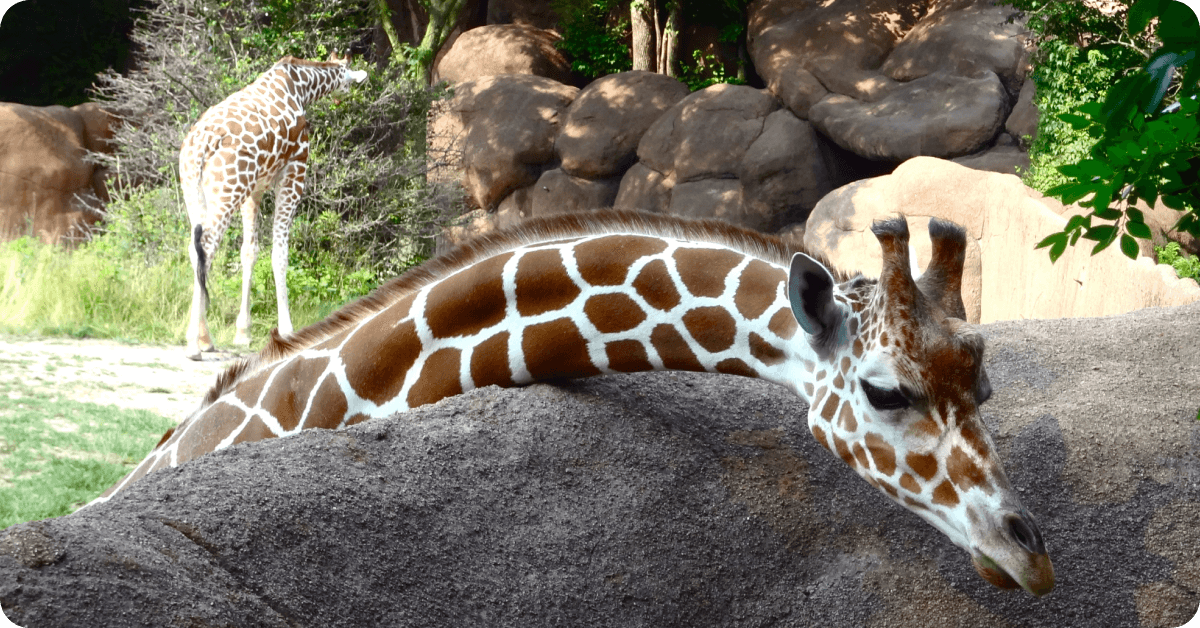 Philadelphia Zoo.