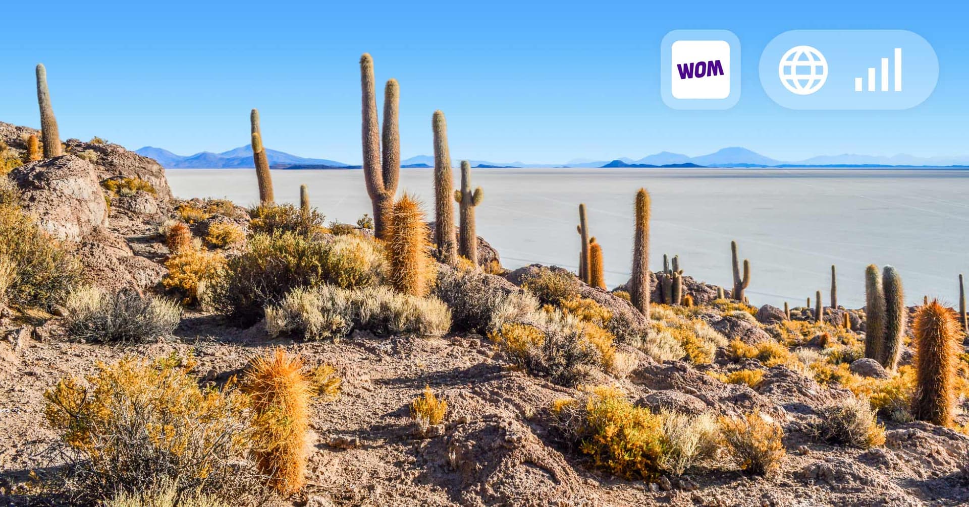 Roaming WOM: cómo funciona, cómo activarlo y cuánto cuestan las bolsas