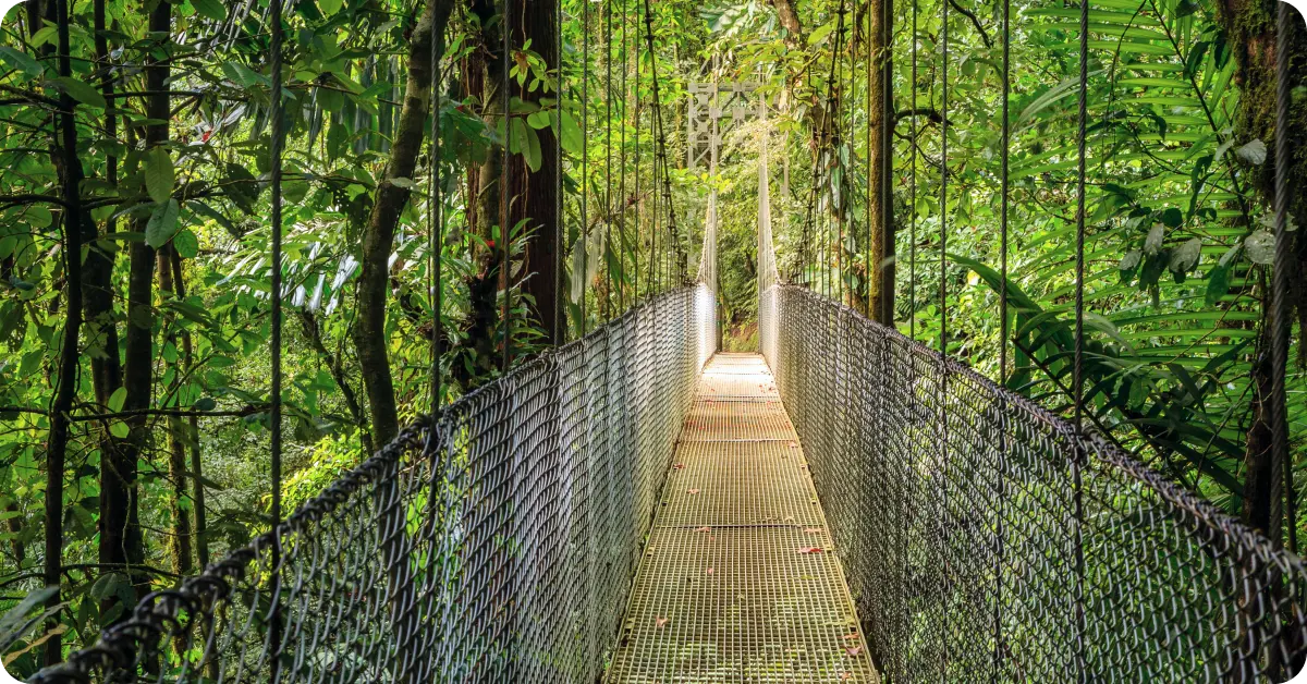 Mistico Hanging Bridges Park, Costa Rica