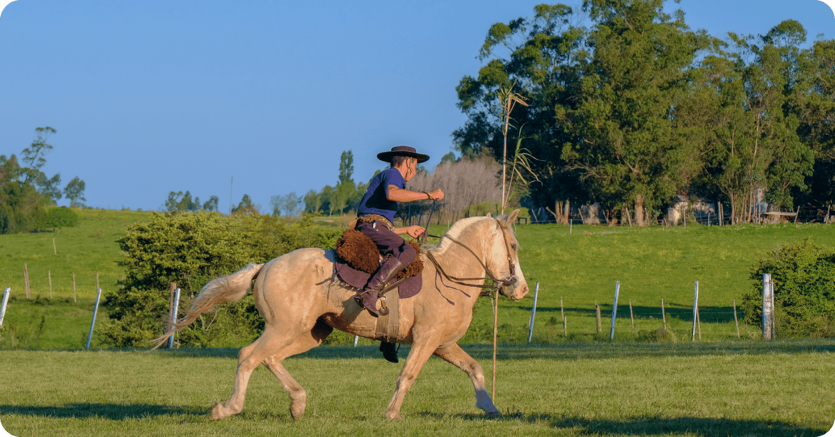 San Antonio de Areco