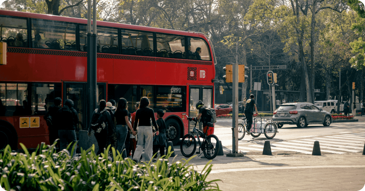Local buses (Camiones)