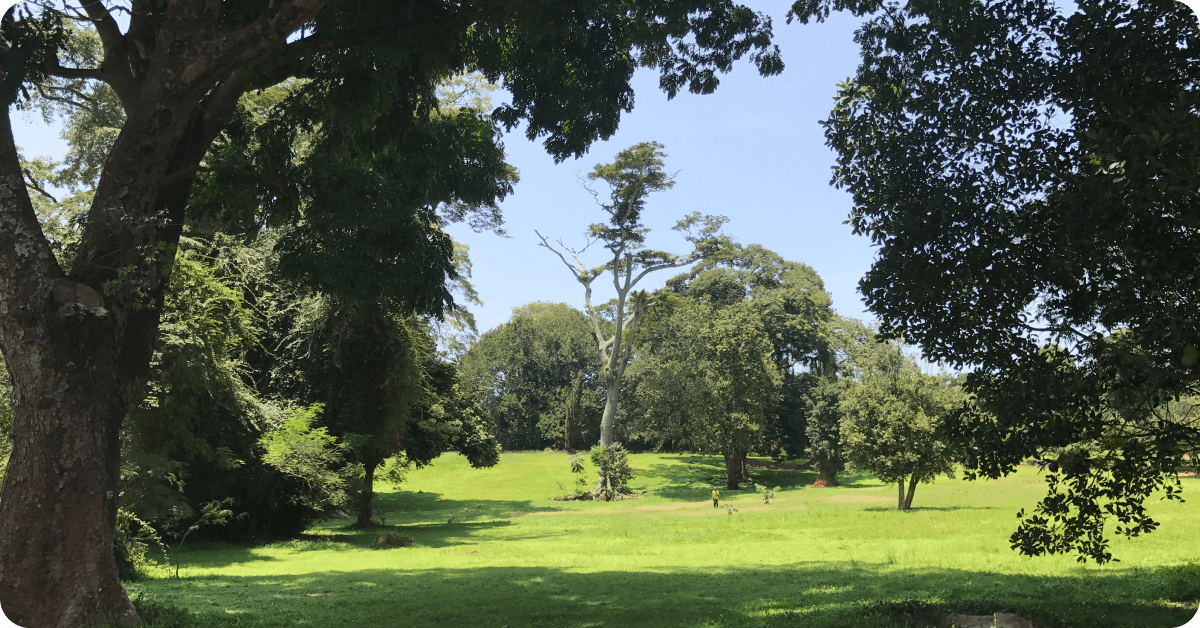 The Entebbe Botanical Gardens in Kampala
