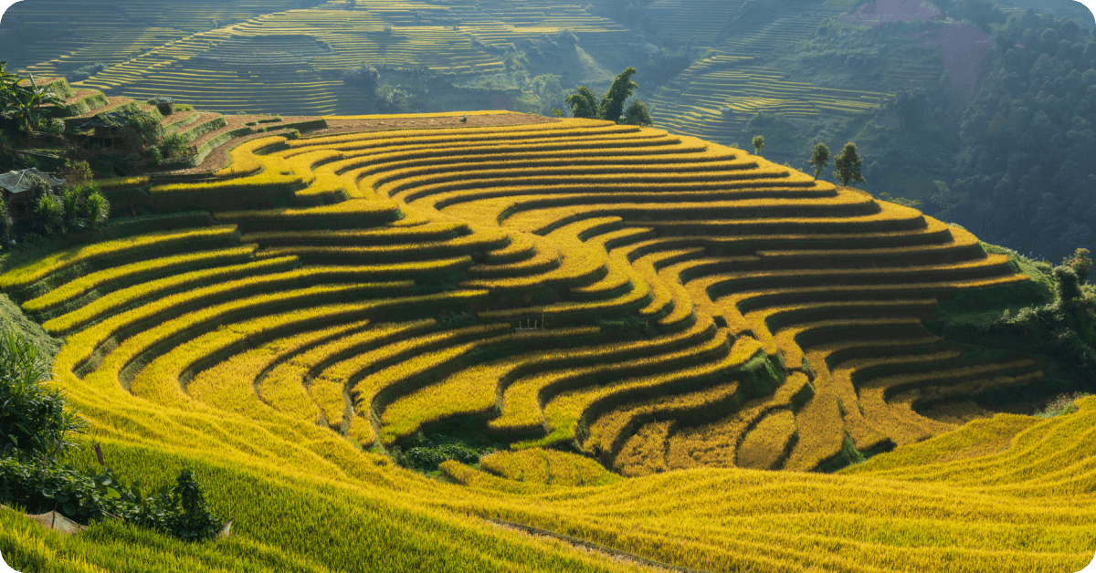 Activities in Northern Vietnam