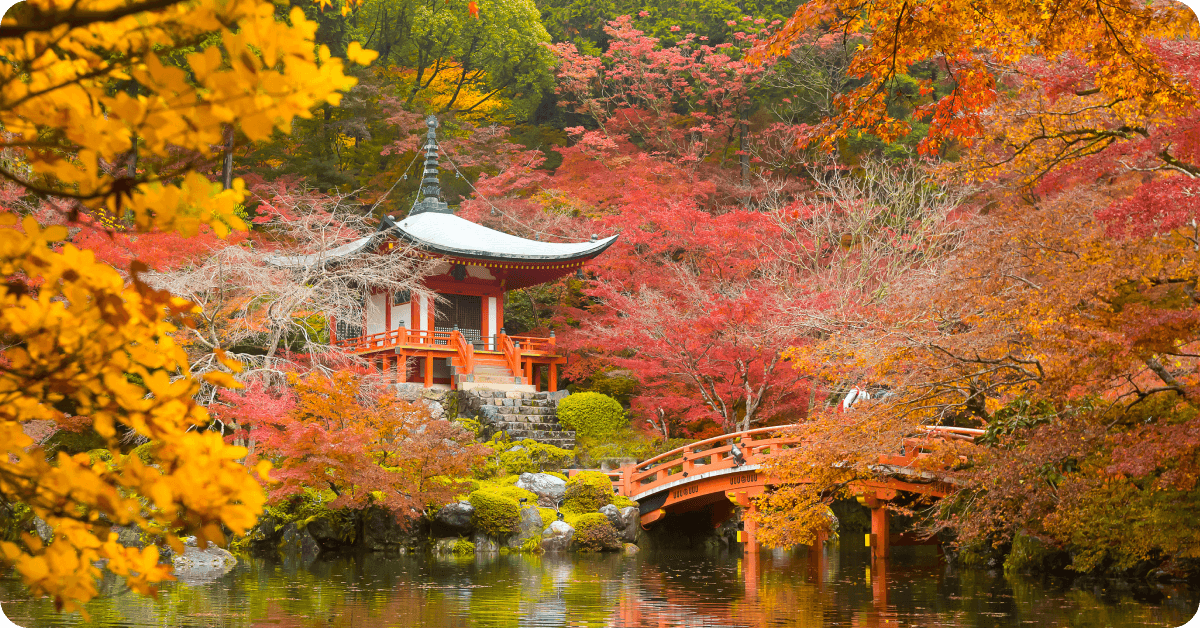 Autumn foliage in Japan.