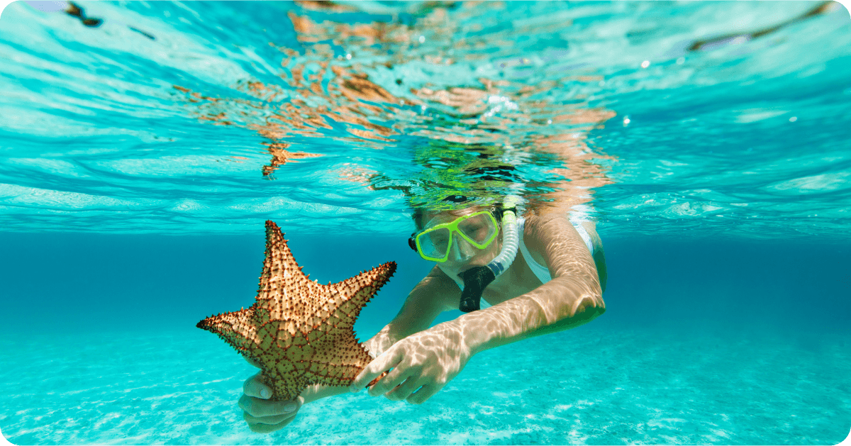 Navidades en el Caribe: guía completa para escapar del frío en las mejores playas.