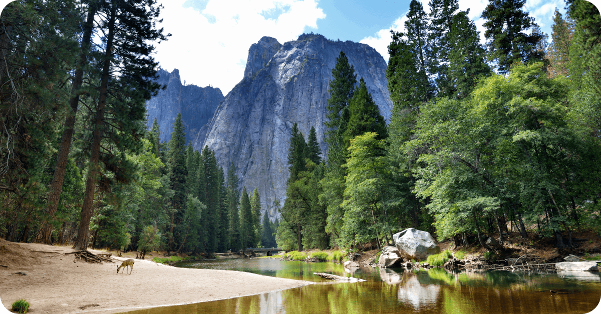 A view of El Capitan in Yosemite National Park, California