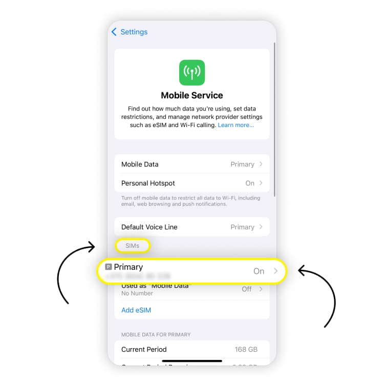 check information on sim iphone: step 5