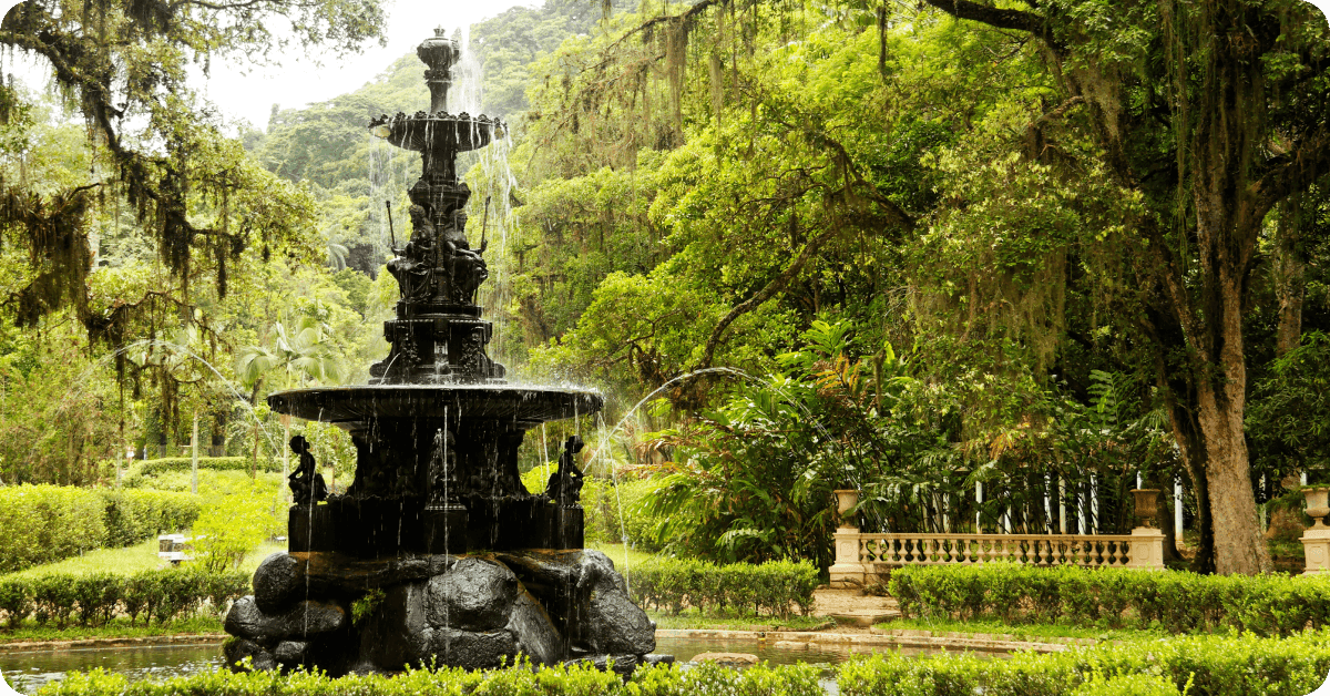Rio’s Botanical Garden.