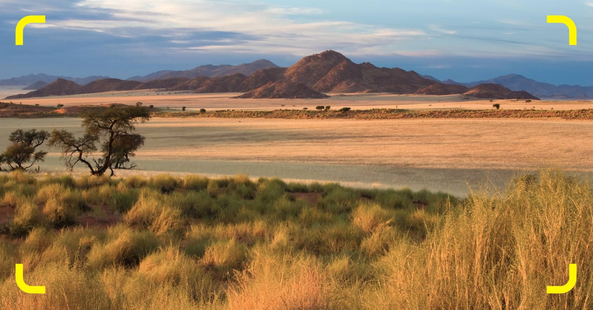 What are the safest countries in Africa to visit in 2026?