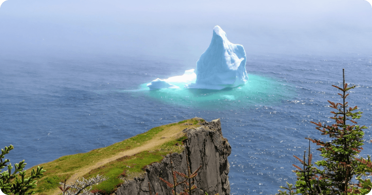 Plonger dans un paradis naturel : Terre-Neuve
