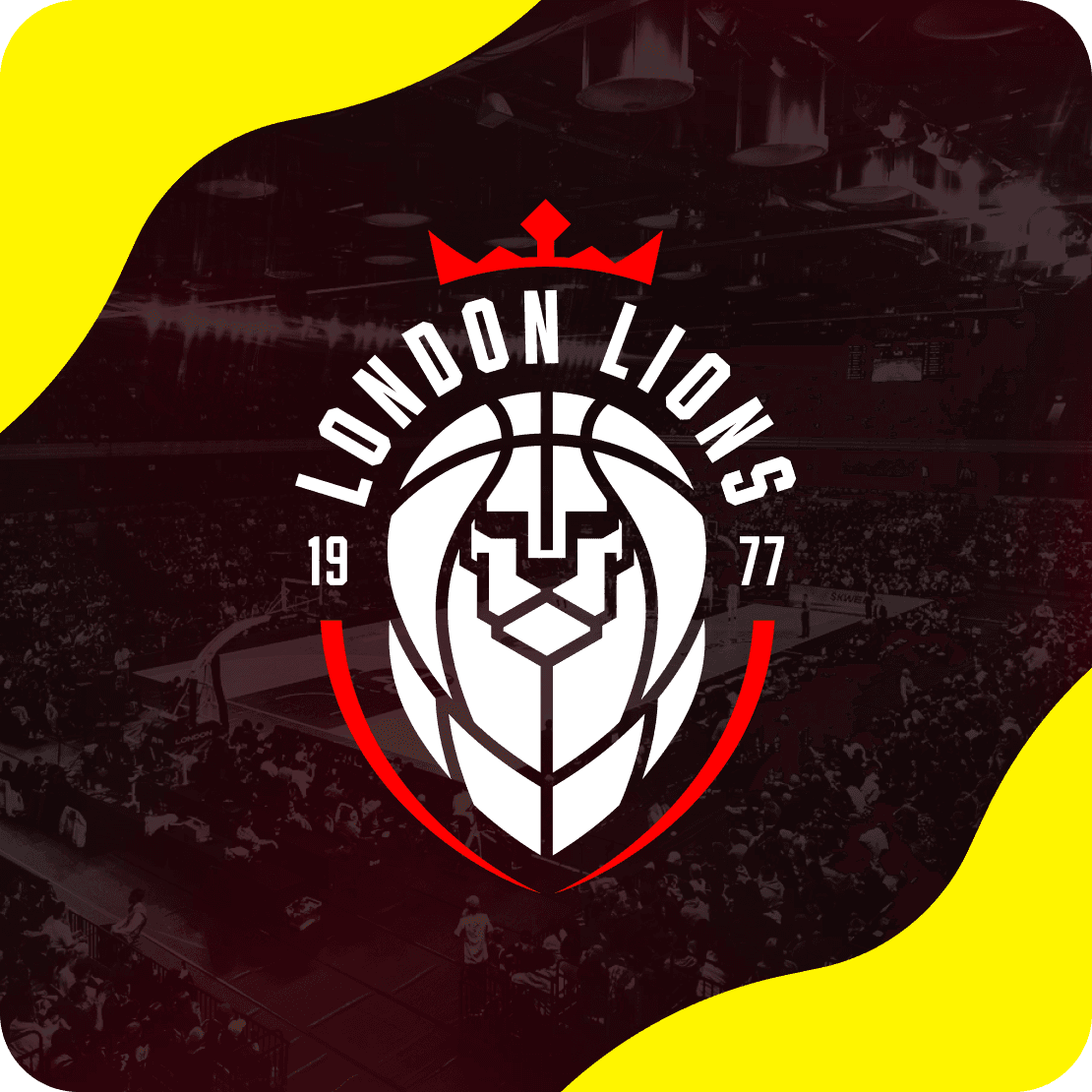 hero basketball london lions
