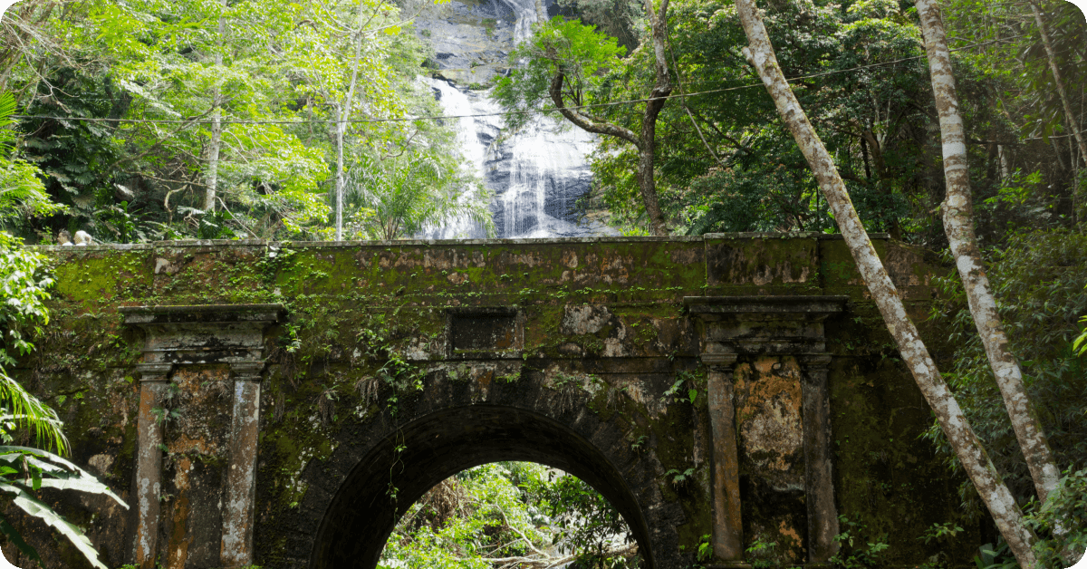 Tijuca National Park in Rio de Janeiro.