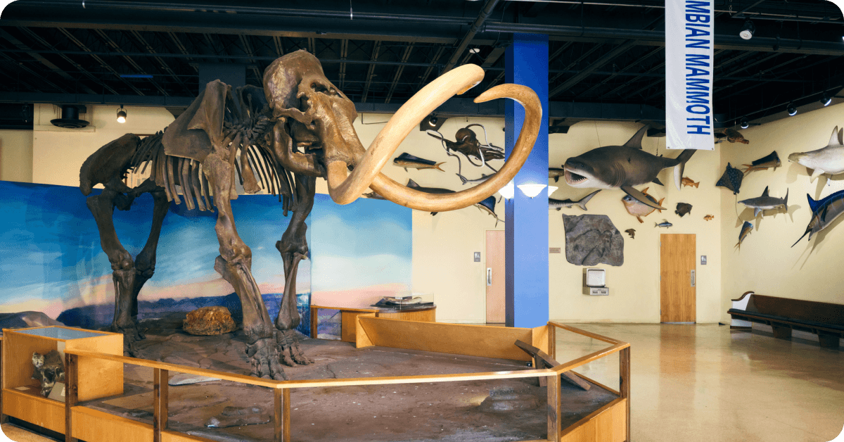 Perot Museum of Nature and Science