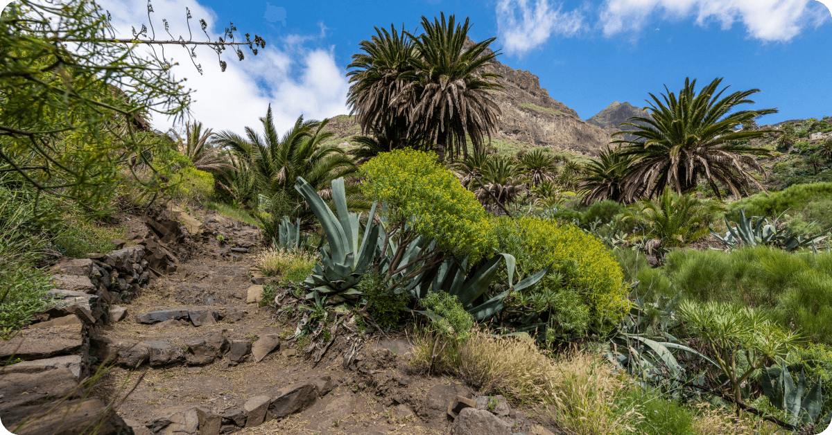 Masca Gorge Trail, Tenerife.