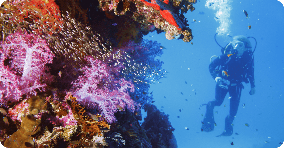 Navidades en el Caribe: guía completa para escapar del frío en las mejores playas.