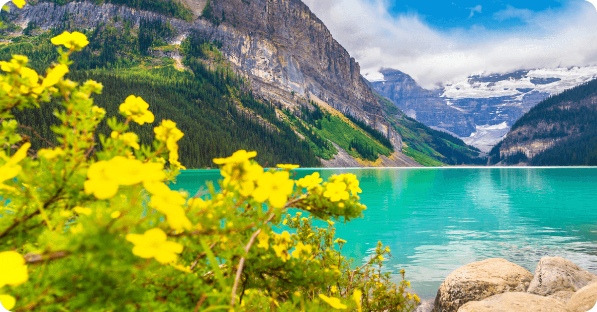 Banff In Spring The best time to visit Banff: A complete guide | Saily